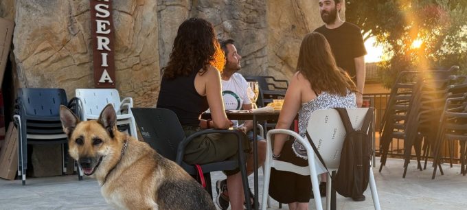 Espacio Pet Friendly